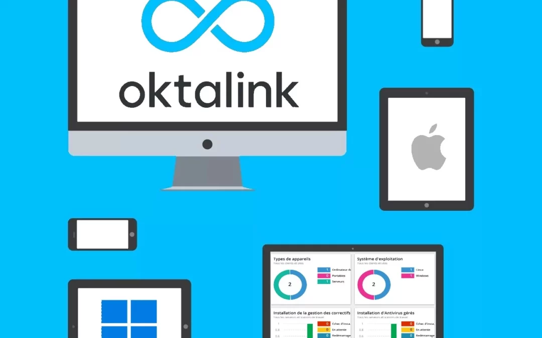 Audit de Parc Informatique : Le Guide Ultime (Méthode & Outil) | OktaLink